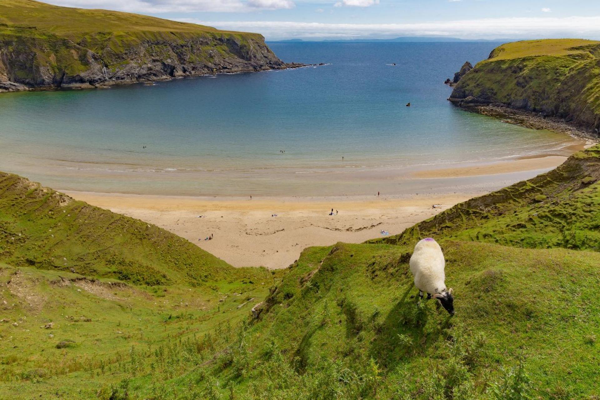 Apartmán Hollies Hideaway Donegal Town Exteriér fotografie